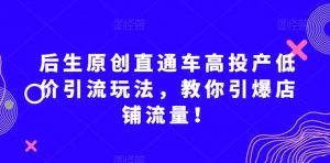 后生原创直通车高投产低价引流玩法，教你引爆店铺流量！-资源云