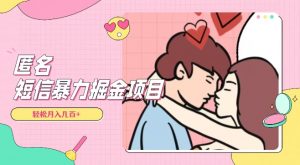 全网首发，揭秘超冷门匿名短信项目，通过信息差日入几百+【揭秘】-资源云