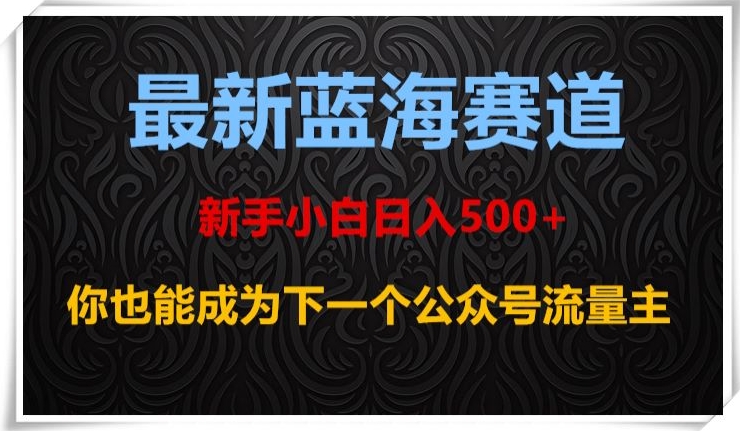 最新蓝海赛道，新手小白日入500+，你也能成为下一个公众号流量主【揭秘】-资源云
