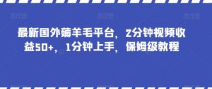 最新国外薅羊毛平台，2分钟视频收益50+，1分钟上手，保姆级教程【揭秘】-资源云