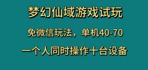 梦幻仙域游戏试玩,免微信玩法,单机40-70,一个人同时操作十台设备【揭秘】-资源云