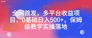 全网首发,多平台收益项目,0基础日入500+,保姆级教学实操落地【揭秘】-资源云