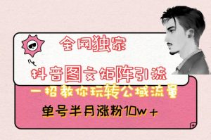 全网独家抖音图文矩阵引流,一招教你玩转公域流量,单号半月涨粉10w+【揭秘】-资源云