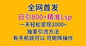 全网首发!日引800+精准老色批,一天变现2000+,独家引流方法,可矩阵操作【揭秘】-资源云