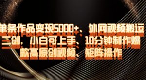单条作品变现5000+、外网视频搬运二创,小白可上手,10分钟制作爆款高原创视频,矩阵操作【揭秘】-资源云