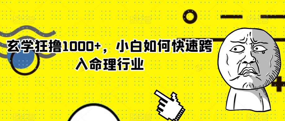 玄学狂撸1000+，小白如何快速跨入命理行业【揭秘】-资源云