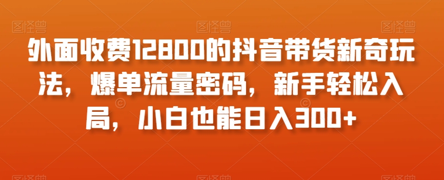 外面收费12800的抖音带货新奇玩法，爆单流量密码，新手轻松入局，小白也能日入300+【揭秘】-资源云