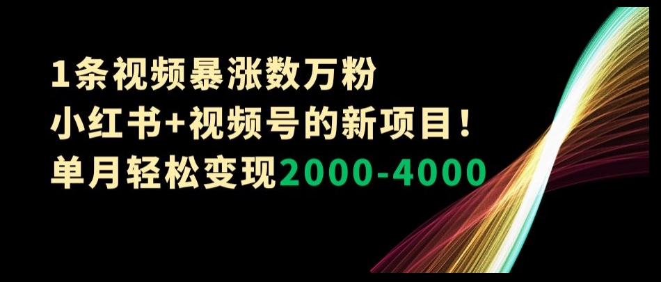 1条视频暴涨数万粉–小红书+视频号的新项目！单月轻松变现2000-4000【揭秘】-资源云