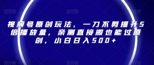 视频号原创玩法,一刀不剪提升5倍播放量,亲测直接搬也能过原创,小白日入500+【揭秘】-资源云