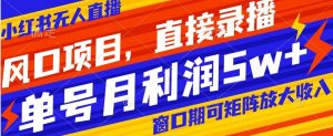 风口项目,小红书无人直播带货,直接录播,可矩阵,月入5w+【揭秘】-资源云