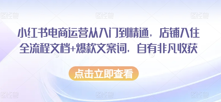 小红书电商运营从入门到精通，店铺入住全流程文档+爆款文案词，自有非凡收获-资源云