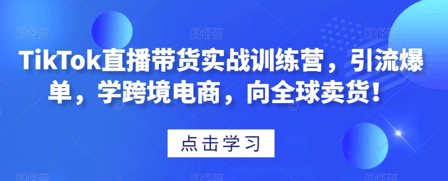 TikTok直播带货实战训练营，引流爆单，学跨境电商，向全球卖货！-资源云