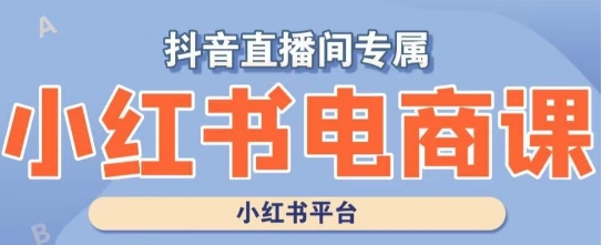 小红书电商高级运营课程，实操教学+案例分析-资源云