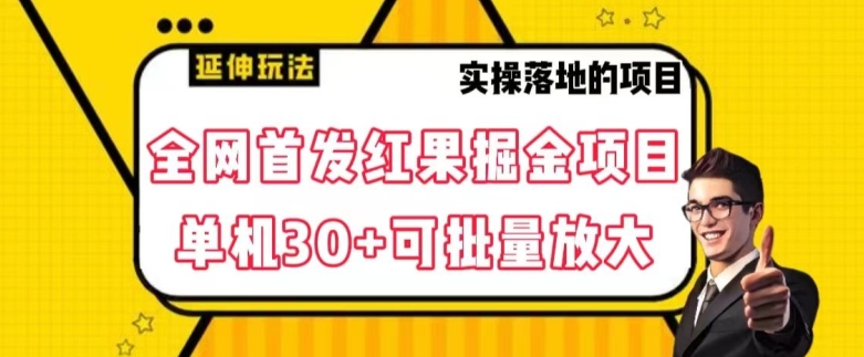 全网首发红果免费短剧掘金项目，单机30+可批量放大【揭秘】-资源云