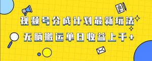 视频号最新爆火赛道玩法,只需无脑搬运,轻松过原创,单日收益上千【揭秘】-资源云
