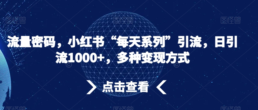 流量密码，小红书“每天系列”引流，日引流1000+，多种变现方式【揭秘】-资源云