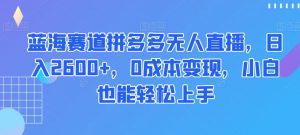 蓝海赛道拼多多无人直播,日入2600+,0成本变现,小白也能轻松上手【揭秘】-资源云