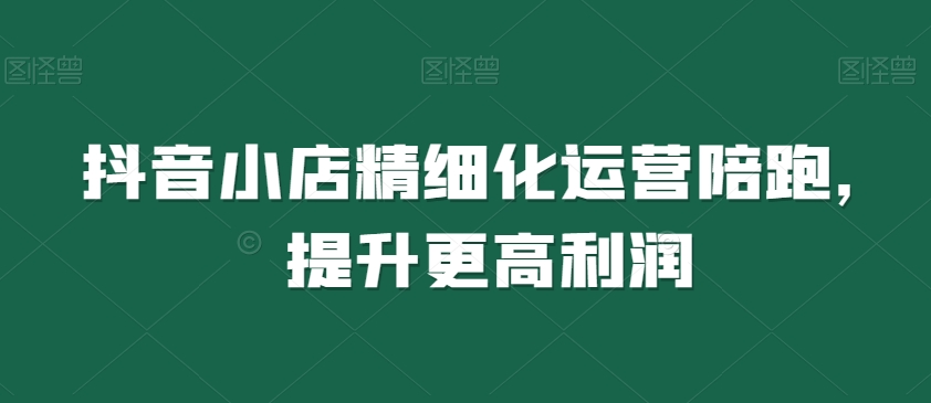 抖音小店精细化运营陪跑，提升更高利润-资源云