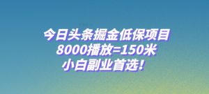 今日头条掘金低保项目，8000播放=150米，小白副业首选【揭秘】-资源云