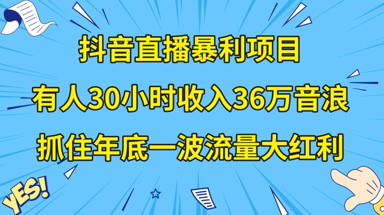 抖音直播暴利项目，有人30小时收入36万音浪，公司宣传片年会视频制作，抓住年底一波流量大红利【揭秘】-资源云