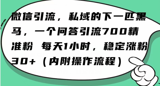 怎么搞精准创业粉？微信新赛道，每天一小时，利用Ai一个问答日引100精准粉-资源云