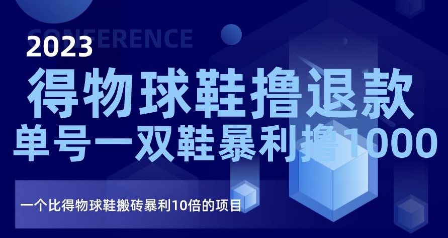 2023得物球鞋撸退款，单号一双鞋暴利撸1000，一个比得物球鞋搬砖暴利10倍的项目【揭秘】-资源云