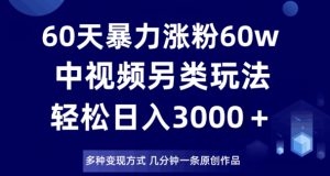 60天暴力涨粉60W，中视频另类玩法，日入3000＋，几分钟一条原创作品多种变现方式-资源云