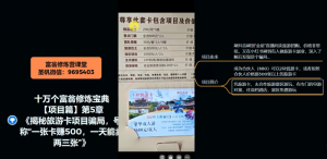 十万个富翁修炼宝典之5.揭秘旅游卡项目骗局，号称“一张卡赚500，一天能卖两三张”-资源云