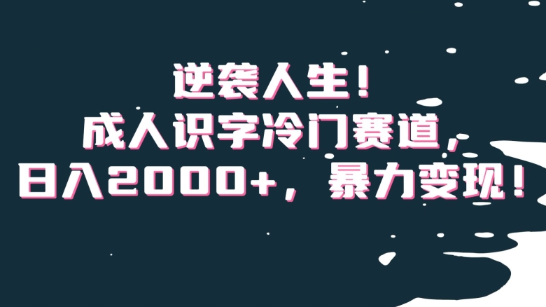 逆袭人生！成人识字冷门赛道，日入2000+，暴力变现！【揭秘】-资源云