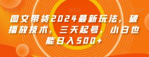 图文带货2024最新玩法,破播放技术,三天起号,小白也能日入500+【揭秘】-资源云