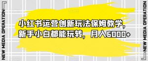 小红书运营创新玩法保姆教学,新手小白都能玩转,月入6000+【揭秘】-资源云