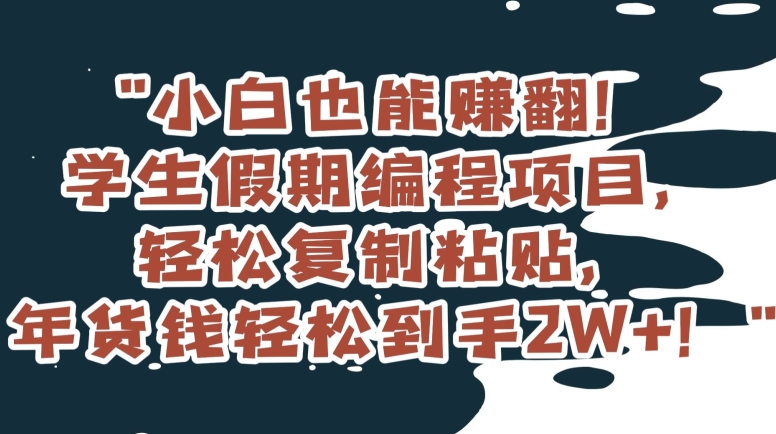 小白也能赚翻！学生假期编程项目，轻松复制粘贴，年货钱轻松到手2W+【揭秘】-资源云