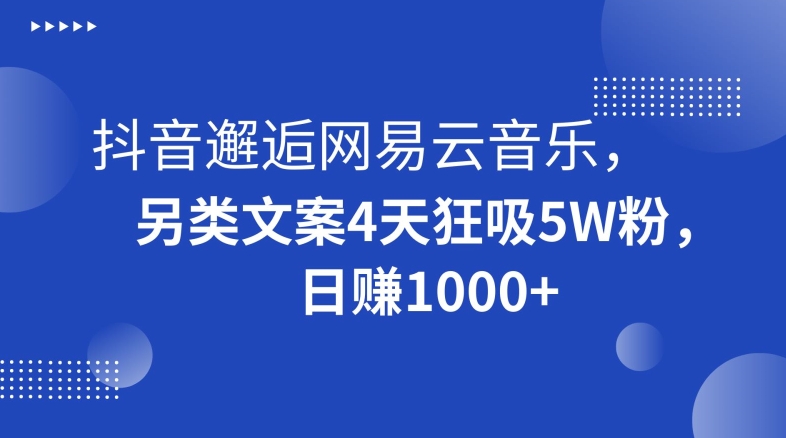抖音邂逅网易云音乐，另类文案4天狂吸5W粉，日赚1000+【揭秘】-资源云