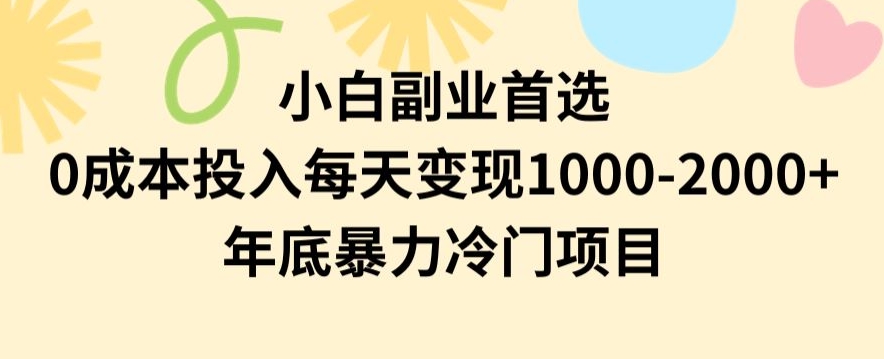 小白副业首选，0成本投入，每天变现1000-2000年底暴力冷门项目【揭秘】-资源云