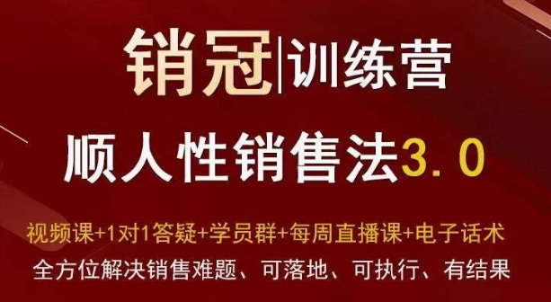 爆款！销冠训练营3.0之顺人性销售法，全方位解决销售难题、可落地、可执行、有结果-资源云