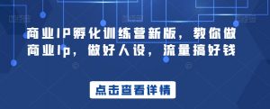 商业IP孵化训练营新版,教你做商业Ip,做好人设,流量搞好钱-资源云