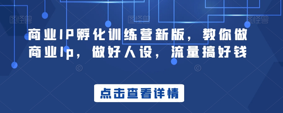 商业IP孵化训练营新版，教你做商业Ip，做好人设，流量搞好钱-资源云