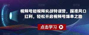 视频号短视频实战特训营,踩准风口红利,轻松开启视频号爆单之路-资源云