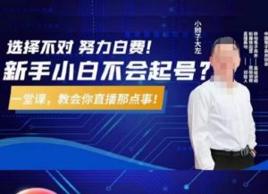 大左教您从0到1做直播带货，选择不对，努力白费，5小时课程搞定那点事，解决你起号问题-资源云