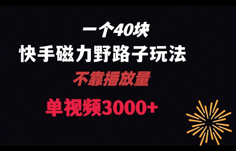 一个40块，快手联合美团磁力新玩法，无视机制野路子玩法，单视频收益4位数【揭秘】-资源云