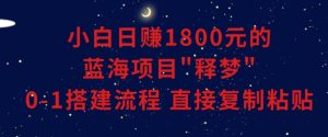 小白能日赚1800元的蓝海项目”释梦”0-1搭建流程可直接复制粘贴长期做【揭秘】-资源云