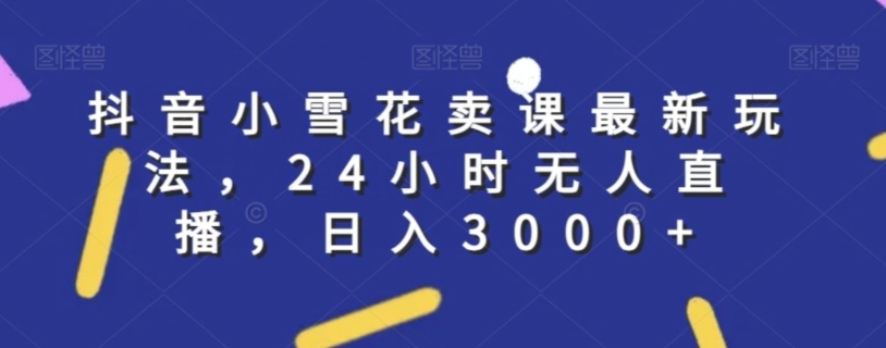 抖音小雪花卖课最新玩法，24小时无人直播，日入3000+【揭秘】-资源云