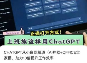 CHATGPT从小白到精通,AI神器+OFFICE全家桶,助力10倍提升工作效率-资源云