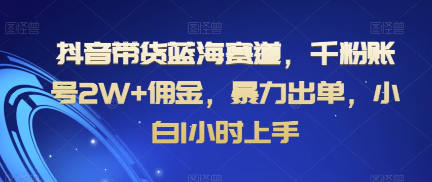 抖音带货蓝海赛道，千粉账号2W+佣金，暴力出单，小白1小时上手【揭秘】-资源云