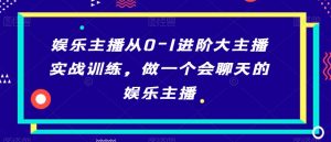 娱乐主播从0-1进阶大主播实战训练,做一个会聊天的娱乐主播-资源云