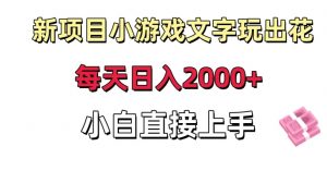 新项目小游戏文字玩出花日入2000+,每天只需一小时,小白直接上手【揭秘】-资源云