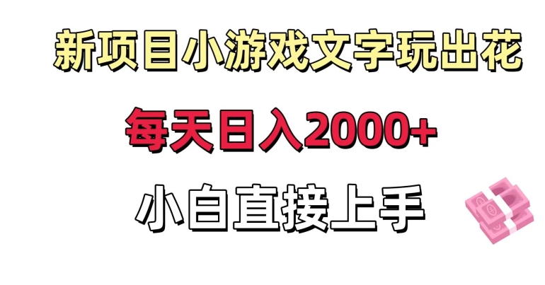 新项目小游戏文字玩出花日入2000+，每天只需一小时，小白直接上手【揭秘】-资源云