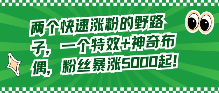 两个快速涨粉的野路子，一个特效+神奇布偶，粉丝暴涨5000起【揭秘】-资源云