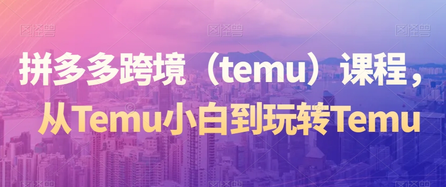 拼多多跨境（temu）课程，从Temu小白到玩转Temu-资源云
