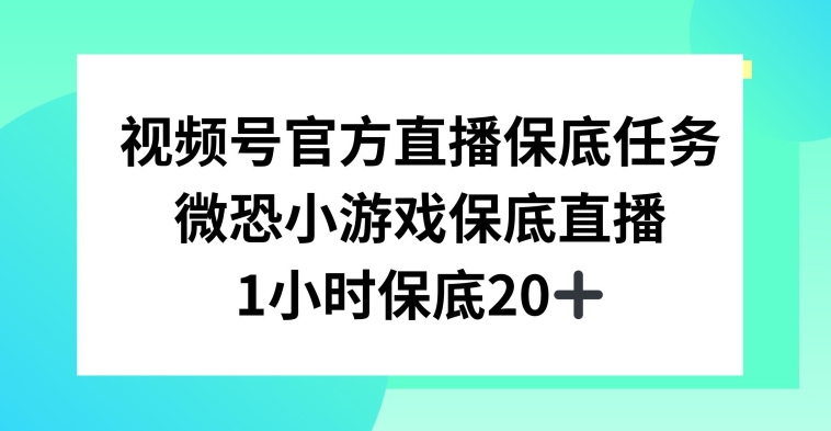 视频号直播任务，微恐小游戏，1小时20+【揭秘】-资源云